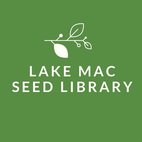 Seed-Logo.jpg