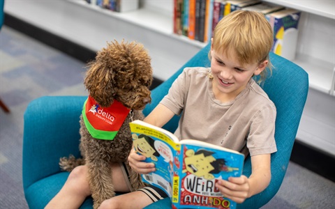 Maisie the poodle and Oliver Cruden, 8, at Belmont Library